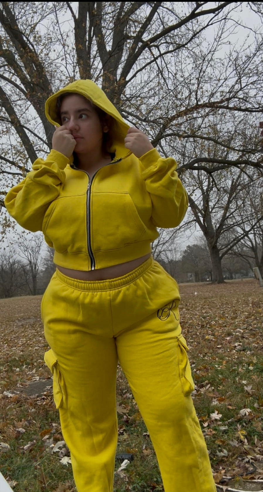 Ladies Sweatsuit set